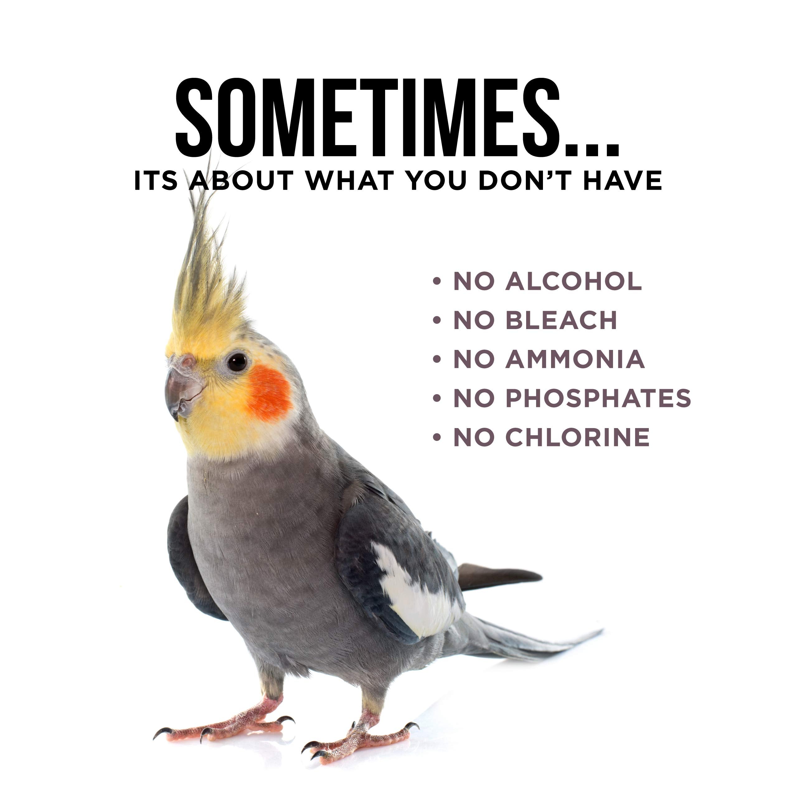 Natural Rapport Bird Cage Cleaner - The Only Bird Cage Cleaner You Need - Bird Poop Spray Remover, Naturally Removes Bird Waste